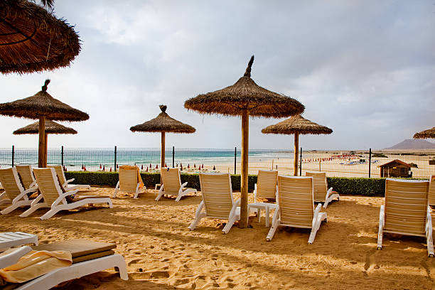 Sunchairs and umbrellas on Canarian beach