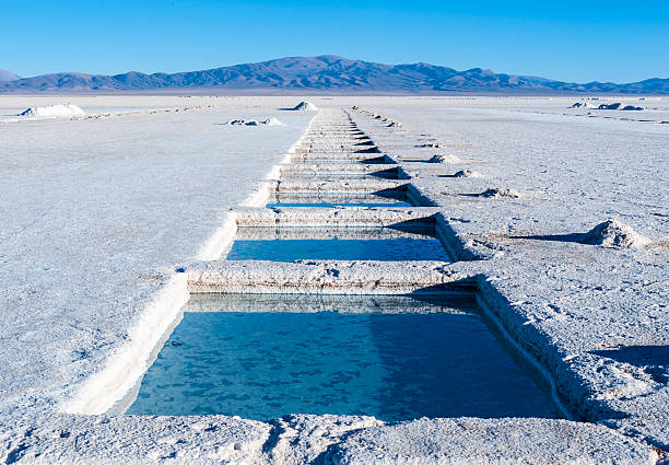 Salinas Grandes, Andes, Argentina Salinas Grandes, Andes, Argentina – is a salt desert in the Jujuy Province. More significantly, Bolivas Salar de Uyuni is also located in the same region lakebed stock pictures, royalty-free photos & images