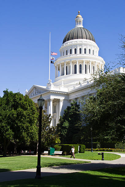 istock Capital building flags at half staff person walking 494280905
