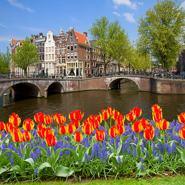 istock bridges of canal ring, old town, Amsterdam 494280923
