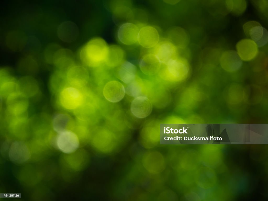 Natural green blurred background Defocused Stock Photo