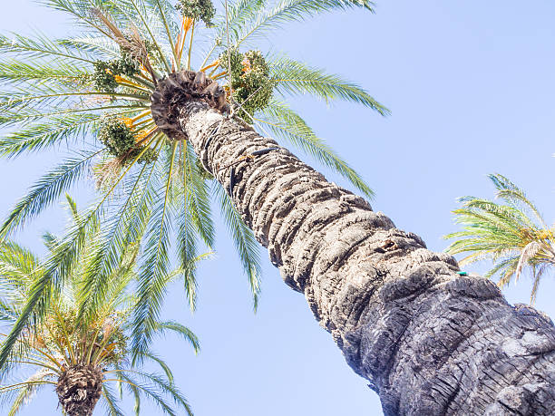 istock holiday under the palm trees 494281782