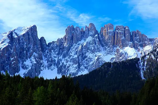 Dolomites alpine latemar, green pine trees valley, Bolzano, South Tirol.