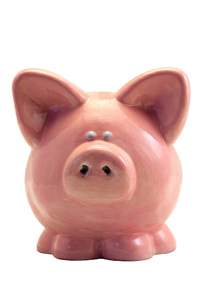 istock Piggy Bank 494283483