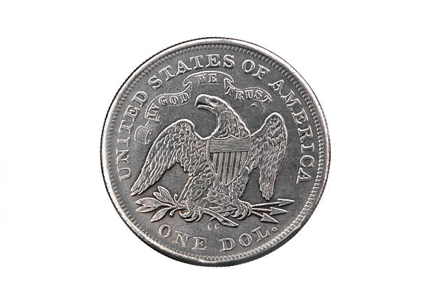 istock Silver dollar of the USA 494283564