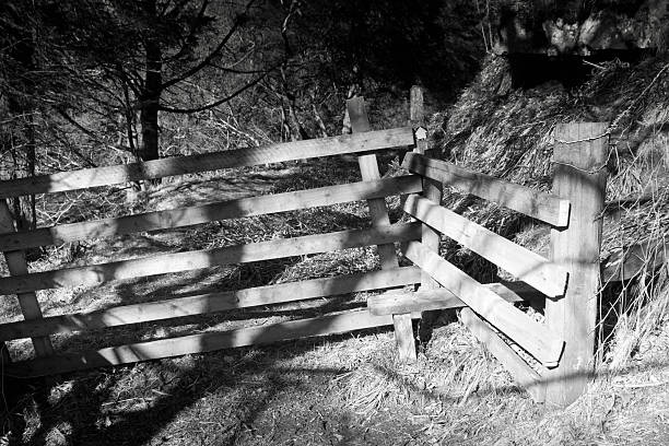 farm puerta cumbria - nibthwaite fotografías e imágenes de stock