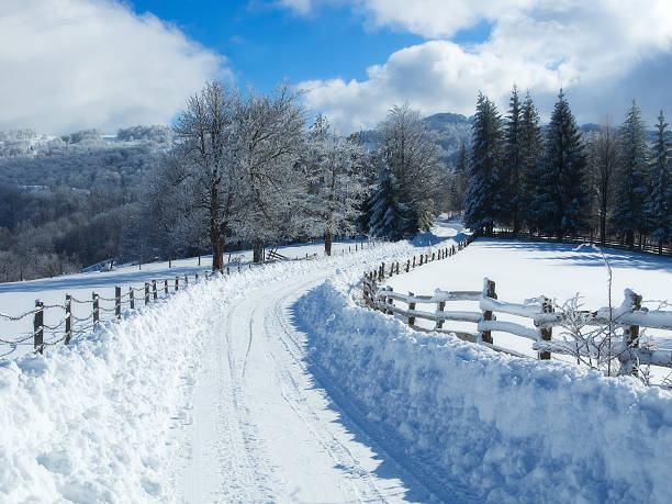 paisaje de invierno - country park fotografías e imágenes de stock