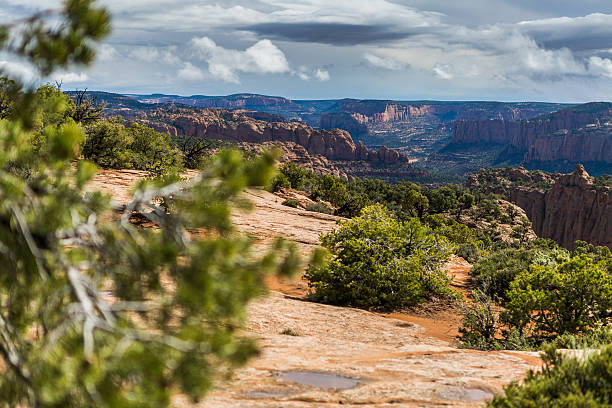istock Navajo National Monument Panorama 494287226