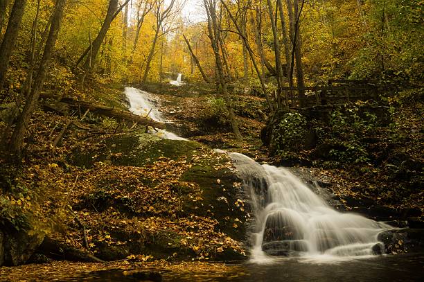 istock Autumn waterfall cascading down the forest into a creek 494290004