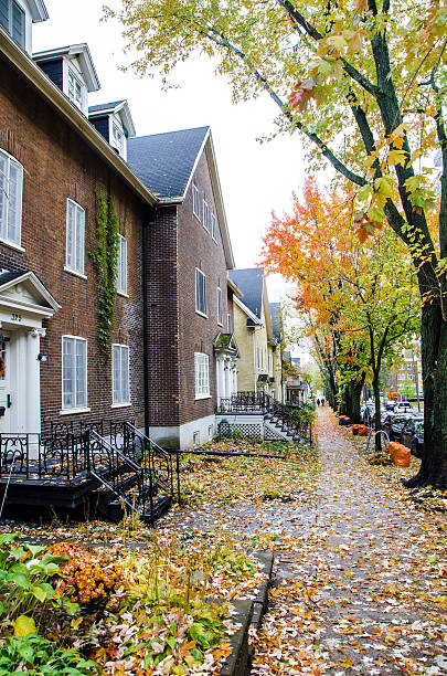 Row of houses on Wilfrid-Laurier Street Quebec, Canada - October 25, 2015: Row of houses on Wilfrid-Laurier Street in Quebec city during a nice day of autumn with lots of leaves on the ground and sidewalk wilfrid laurier stock pictures, royalty-free photos & images