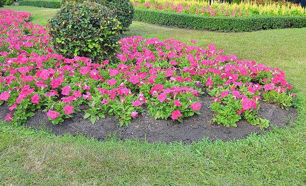 istock Flower garden in public park 494293242