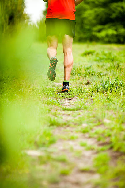 istock Man cross country running on trail summer 494294927