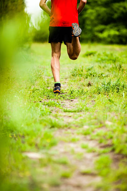 istock Man cross country running on trail 494294931