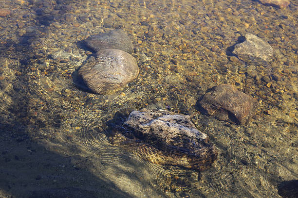 Reflections stock photo