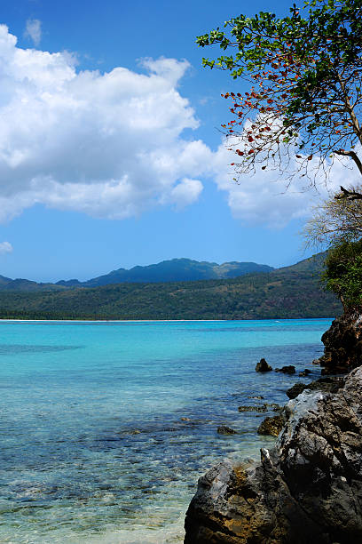 istock Playa rincon beach, Samana, Dominican republic 494295431