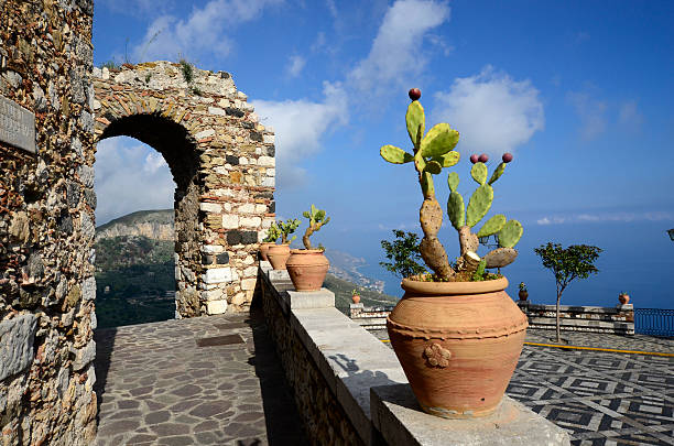 istock Ruins and plant in Castelmola, Sicily 494295647