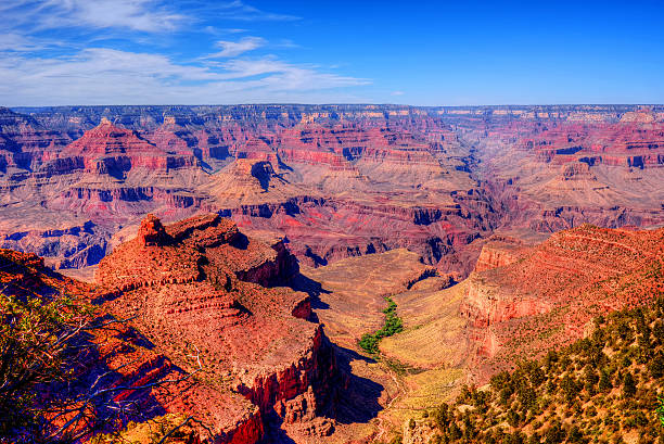 istock The Grand Canyon 494296031