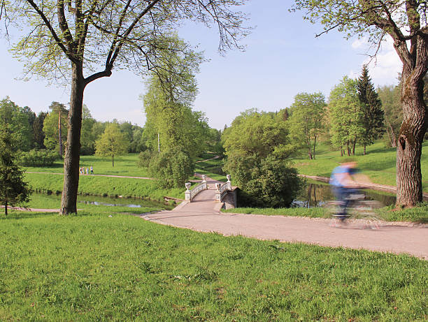 istock Cast-iron bridge in Pavlovsk park 494297523