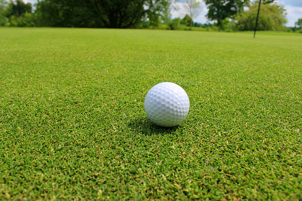istock Close-up golf ball in grass on golf course putting green 494298127