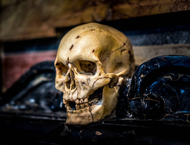 Skulls in ossuary, Karner St. Michael's Chapel, Lake Hallstatt, Salzkammergut, a UNESCO World Heritage Hallstatt-Dachstein Salzkammergut, Upper Austria, Austria, Europe