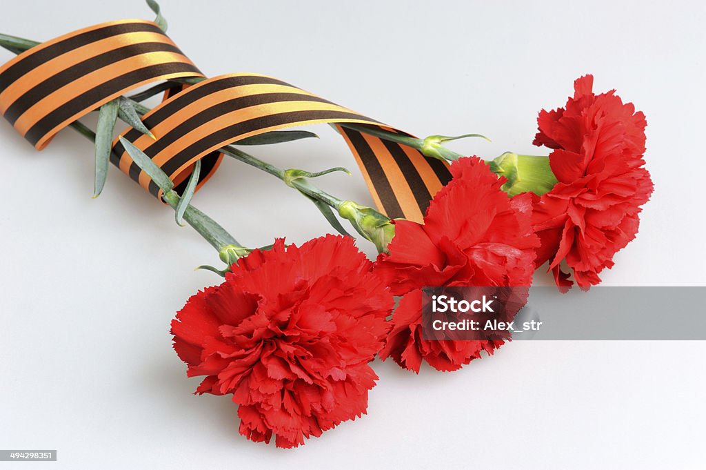 Three red carnations tied with Saint George ribbon on gray Red carnations tied with Saint George ribbon on gray Carnation - Flower Stock Photo