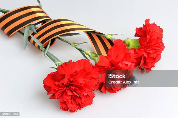 Three Red Carnations Tied With Saint George Ribbon On Gray Stock Photo - Download Image Now