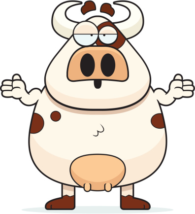 A cartoon cow looking confused and shrugging.