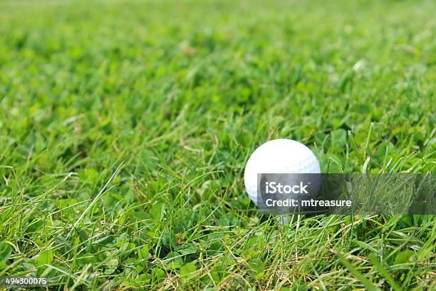 Closeup Golf Ball In Grass On Golf Course In Rough Stock Photo - Download Image Now