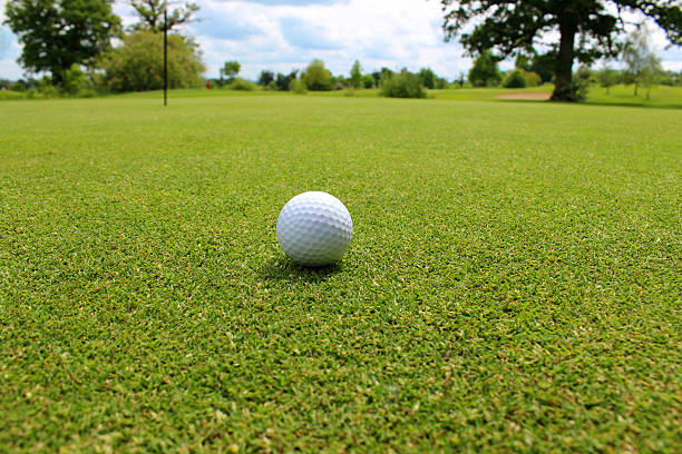 istock Close-up golf ball in grass on golf course putting green 494300081