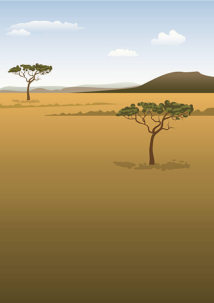 savanna krajobraz - kruger national park illustrations stock illustrations