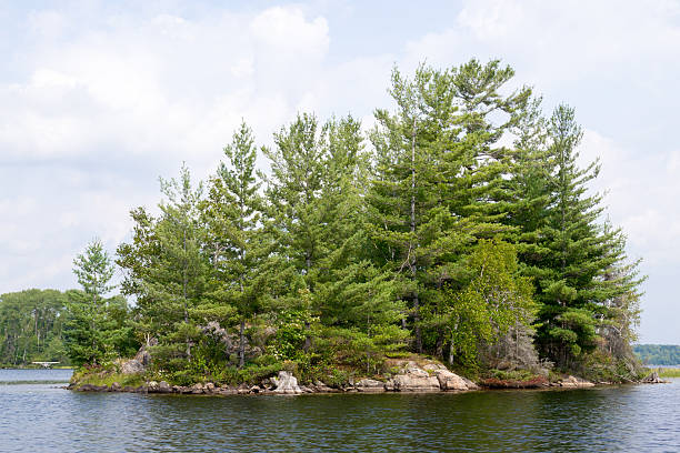 istock Island in lake Duck 494305456