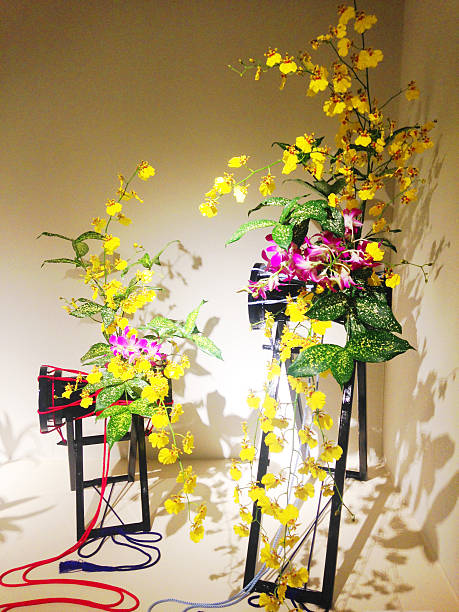 Ikebana stock photo