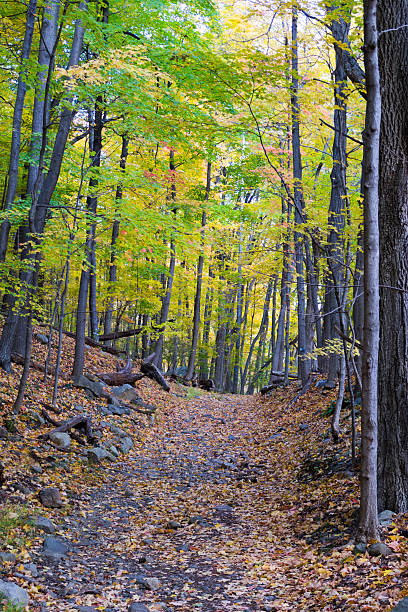 630+ Hudson Mountain Range Stock Photos, Pictures & RoyaltyFree Images