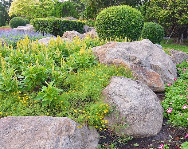 istock Flower garden in public park 494307378