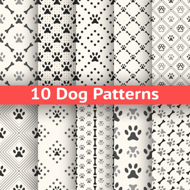 illustrazioni stock, clip art, cartoni animati e icone di tendenza di set di animale seamless pattern di vettoriale - dog spotted purebred dog kennel