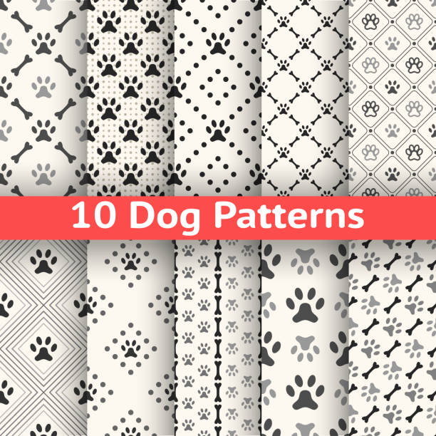 Set of animal seamless vector pattern Set of animal seamless vector pattern of paw footprint in repeating rhombus. Endless texture can be used for printing onto fabric, web page background. Dog style. White and black colors. dog borders stock illustrations