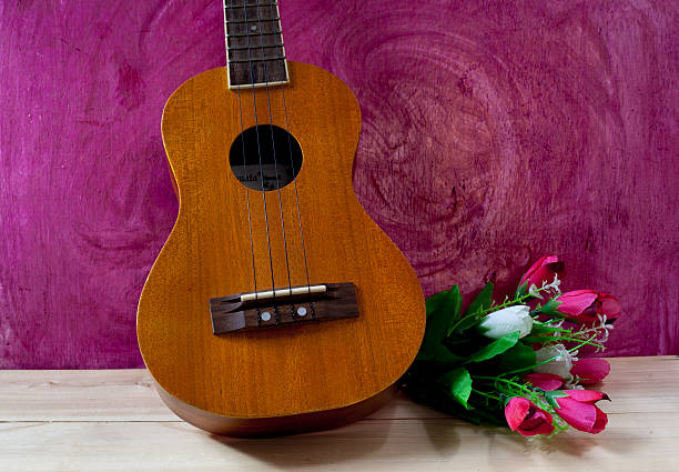 istock Acoustic guitar instrument Ukulele 494310598