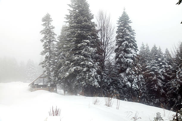 istock Beautiful winter landscape 494310781