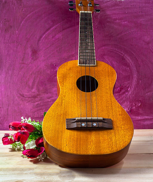 istock Acoustic guitar instrument Ukulele 494310854