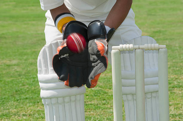 istock Wicket keeper standing behind stumps and catching a ball 494311248