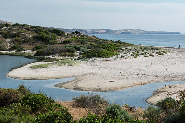 Bungala River, Normanville Beach, South Australia