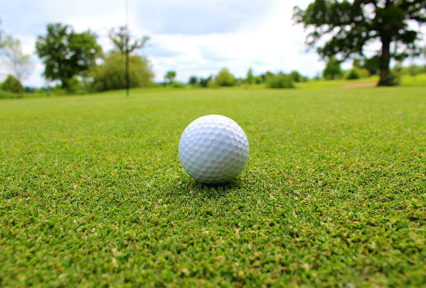 istock Close-up golf ball in grass on golf course putting green 494311823