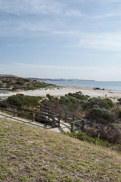 Bungala River, Normanville Beach, South Australia