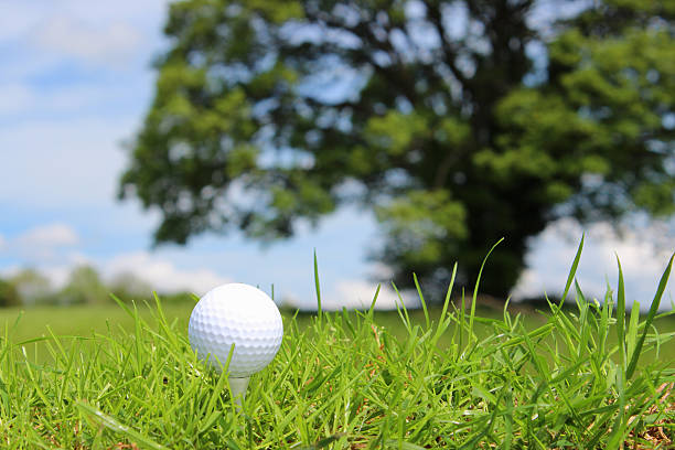 istock Close-up golf ball in grass on golf course, blue sky 494312323