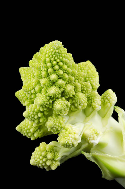 istock Romanesco Broccoli Floret on Black Background 494312788