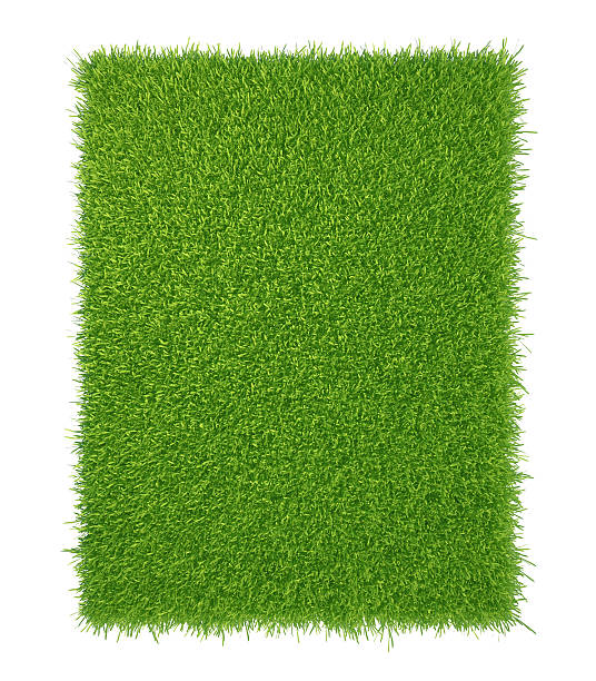 istock piece of cropped grass to be installed 494313550