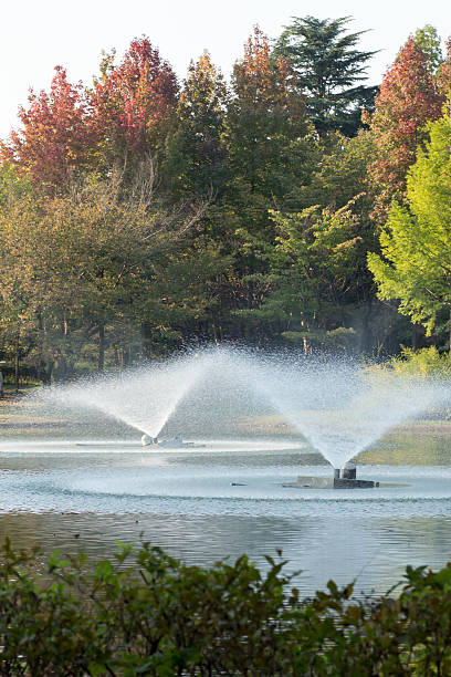istock Twin fountains 494313680
