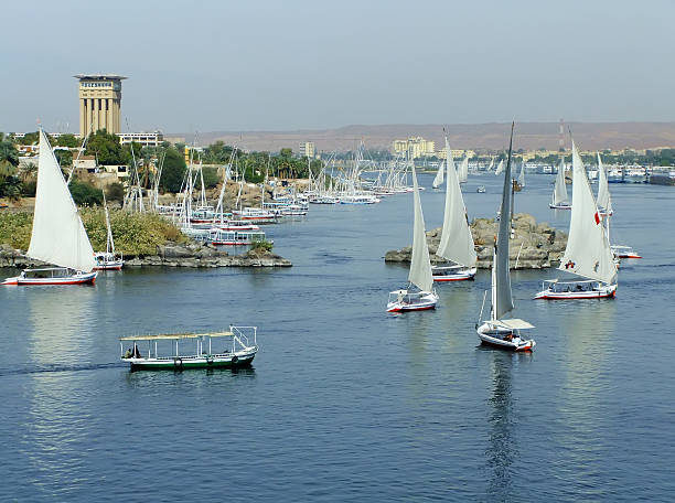 istock Felucca boats sailing on the Nile river, Aswan 494314383