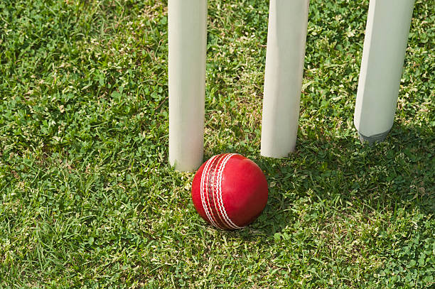 istock High angle view of a cricket ball near stumps 494314852