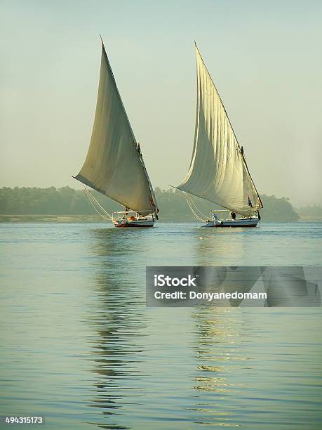Felucca Лодки Яхты На Нил — стоковые фотографии и другие картинки Река Нил - Река Нил, Африка, Без людей